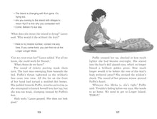 Load image into Gallery viewer, Land of the Last Wildcat