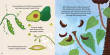Load image into Gallery viewer, Plant Fun: Super Seeds