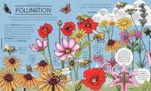 Load image into Gallery viewer, Nature Explained