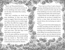 Load image into Gallery viewer, Nora and the Compass of Chaos