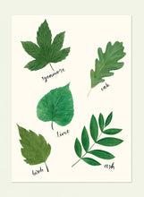 Load image into Gallery viewer, Letters from Wonderland