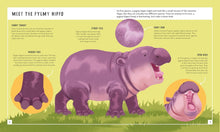 Load image into Gallery viewer, Pygmy Hippo