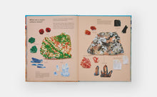 Load image into Gallery viewer, What a Rock Can Reveal