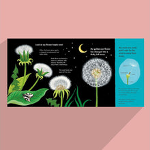 Load image into Gallery viewer, Fluffy, Flying Seed