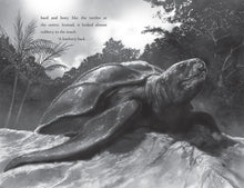 Load image into Gallery viewer, Turtle Moon