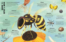 Load image into Gallery viewer, A Bug's World