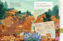 Load image into Gallery viewer, There's a Mountain in This Book