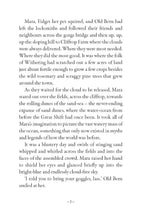 Load image into Gallery viewer, The Cloud Thief