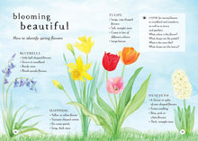 Load image into Gallery viewer, A Field Guide to Spring : Play and learn in nature