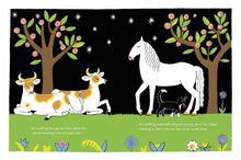 Load image into Gallery viewer, The Cat at Night