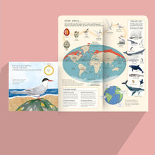 Load image into Gallery viewer, Small, Speckled Egg