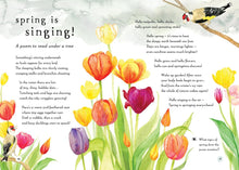 Load image into Gallery viewer, A Field Guide to Spring : Play and learn in nature