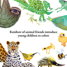 Load image into Gallery viewer, Hello Hello Colors