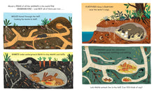 Load image into Gallery viewer, National Trust: Wonder World: Earth