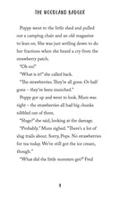 Load image into Gallery viewer, The Woodland Badger