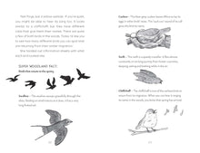 Load image into Gallery viewer, Ajay and the Red-winged Prince