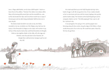 Load image into Gallery viewer, Poppy Field