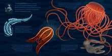 Load image into Gallery viewer, Lifesize Ocean Animals