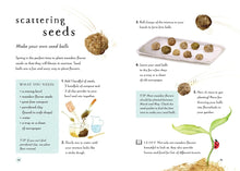 Load image into Gallery viewer, A Field Guide to Spring : Play and learn in nature