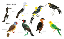 Load image into Gallery viewer, The Call of the Birds