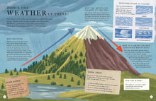 Load image into Gallery viewer, There's a Mountain in This Book