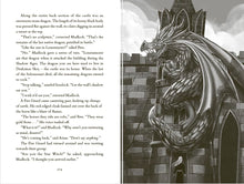 Load image into Gallery viewer, A Sequence of Cosmic Accidents