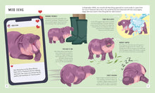 Load image into Gallery viewer, Pygmy Hippo