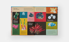 Load image into Gallery viewer, What a Rock Can Reveal