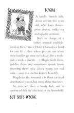 Load image into Gallery viewer, Hotel for Cats