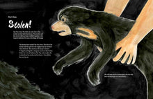 Load image into Gallery viewer, A Bear Belongs : A rescue story
