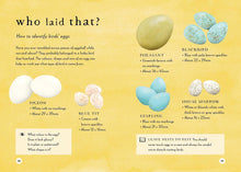 Load image into Gallery viewer, A Field Guide to Spring : Play and learn in nature