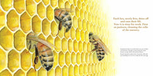 Load image into Gallery viewer, They Work : Honey Bees, Nature's Pollinators