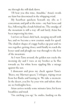 Load image into Gallery viewer, Nush and the Stolen Emerald