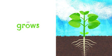 Load image into Gallery viewer, A Seed Grows