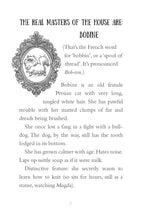 Load image into Gallery viewer, Hotel for Cats