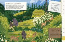 Load image into Gallery viewer, There's a Mountain in This Book