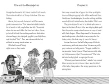 Load image into Gallery viewer, Ellie and the Marriage List