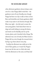 Load image into Gallery viewer, The Woodland Badger