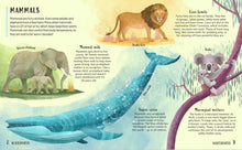 Load image into Gallery viewer, Get Your Animals in Order: Classifying the Animal World