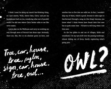 Load image into Gallery viewer, The Wrong Shoes