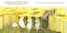 Load image into Gallery viewer, They Work : Honey Bees, Nature's Pollinators