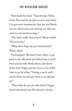 Load image into Gallery viewer, The Woodland Badger