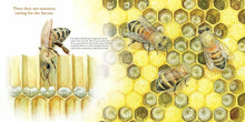 Load image into Gallery viewer, They Work : Honey Bees, Nature's Pollinators