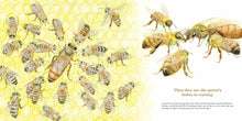 Load image into Gallery viewer, They Work : Honey Bees, Nature's Pollinators