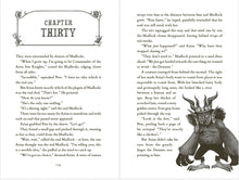 Load image into Gallery viewer, A Sequence of Cosmic Accidents