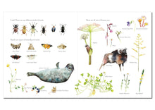 Load image into Gallery viewer, Not the End of the World