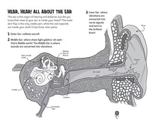 Load image into Gallery viewer, Bodies, Brains and Bogies