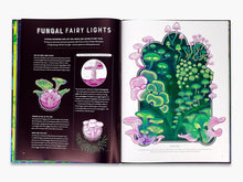 Load image into Gallery viewer, Glow