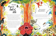 Load image into Gallery viewer, A Bear Belongs : A rescue story