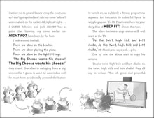 Load image into Gallery viewer, The Fantastic Intergalactic Hamster!